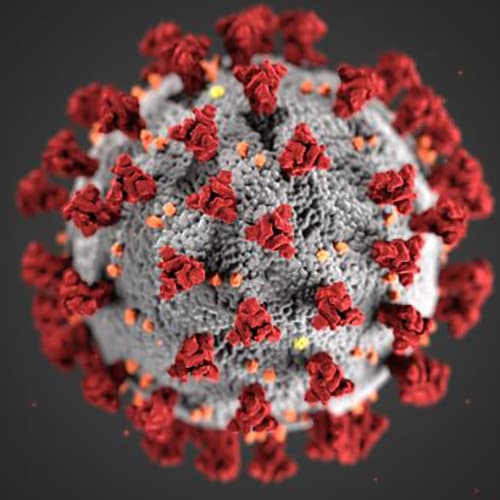 COVID Virus