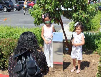 COVID Tree Children